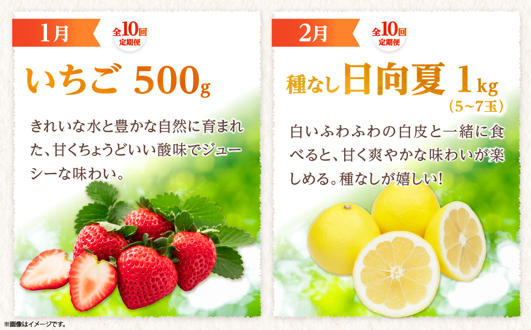 【全10回お届け】宮崎県綾町産 果物・野菜定期便 [X21]_A0113-0021