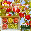 【ふるさと納税】先行予約 長野県産りんご2～4種類4個シャインマスカット400g 2024年発送　【 長野 果物類 ぶどう マスカット フルーツ ギフト 手土産 詰め合わせ 】　お届け：2024年11月1日～2025年1月31日