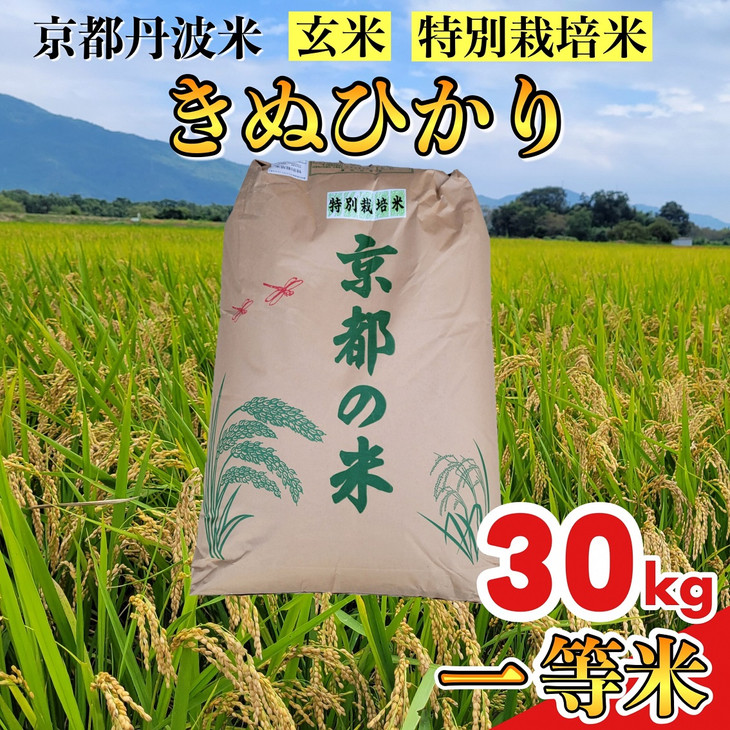 【寄附額改定】【令和7年産】京都丹波米 きぬひかり 玄米 30kg《米 一等米 キヌヒカリ 特別栽培米 減農薬》※北海道・沖縄・離島への配送不可【～3月31日まで】