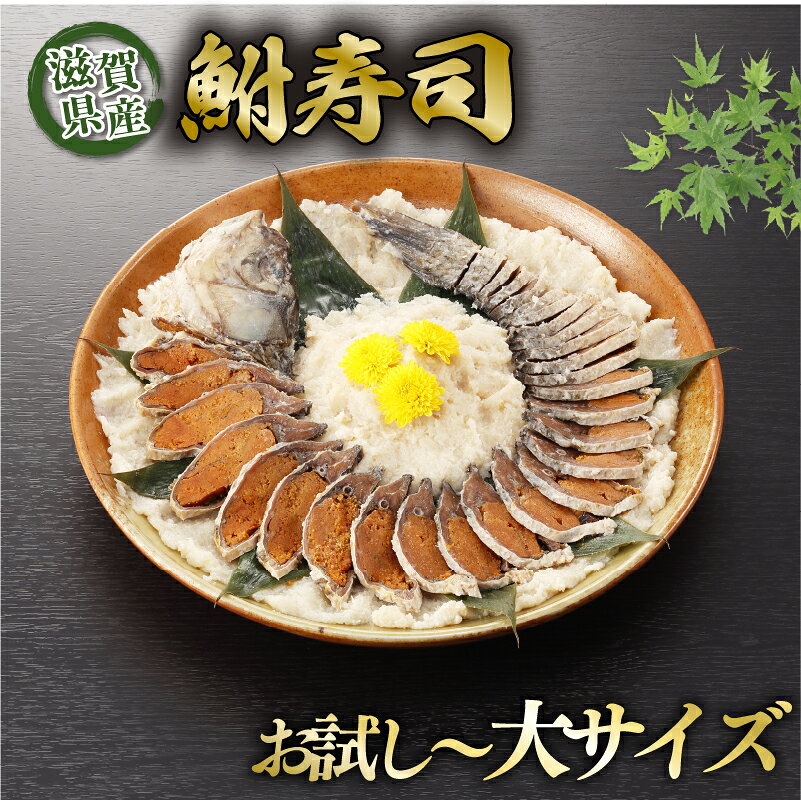 【ふるさと納税】 びわ湖産天然 鮒寿し お試し 小 中 大 サイズ 選べる お試し用 フナ 鮒ずし 鮒寿司 鮒寿し 鮒鮨 ふなずし おつまみ 晩酌 肴 川魚 湖魚 魚 国産 天然 琵琶湖 栄養 発酵食品 乳酸菌 滋賀 彦根 あゆの店きむら