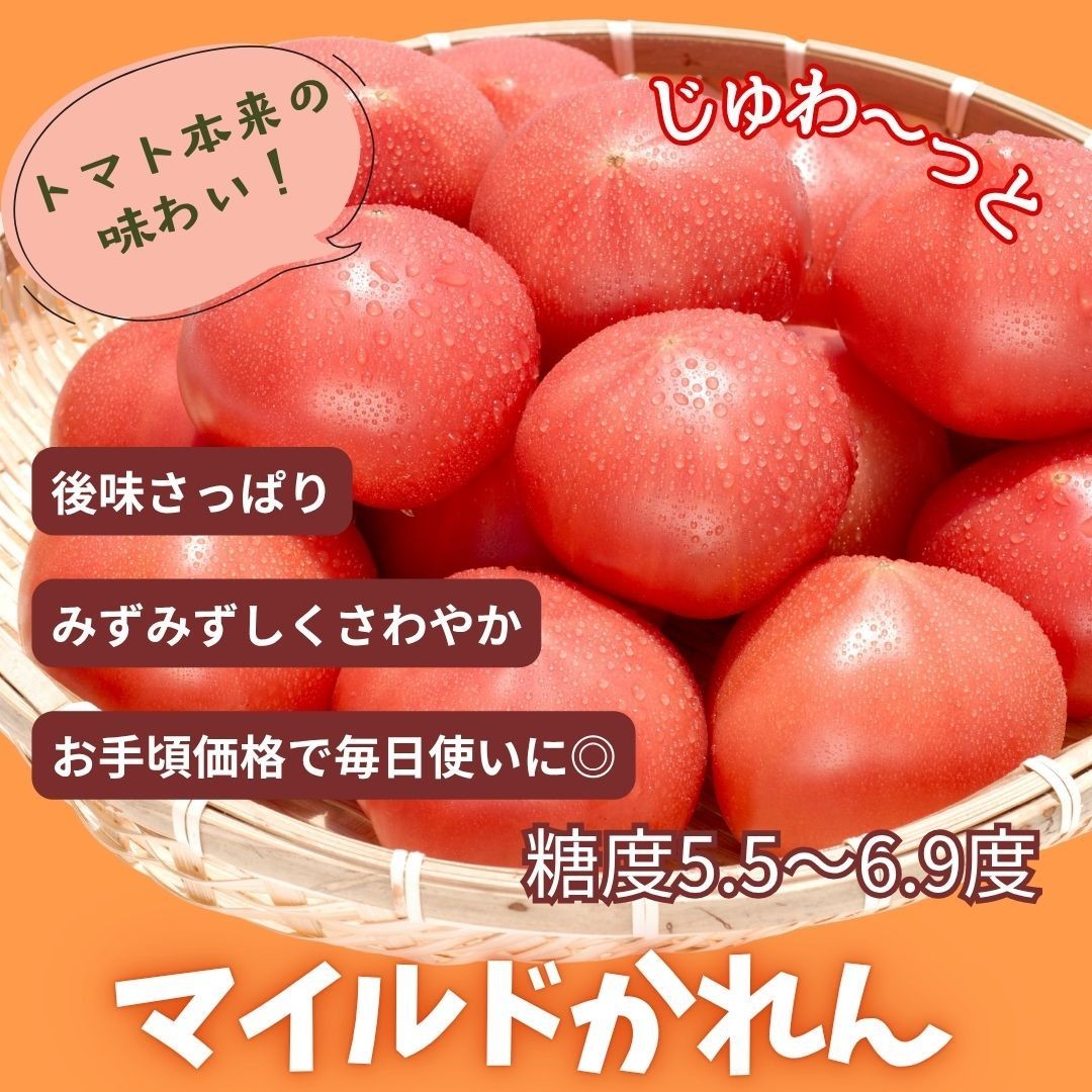 
                  糖度5.5～6.9度のトマト マイルドかれん 選べる内容量1kg~4kg | de-karen-oya
                
