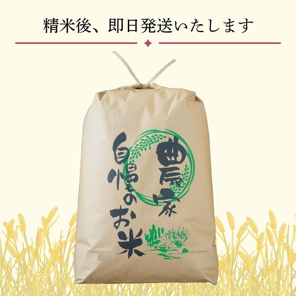 【先行予約】<令和７年産> 奥信濃飯山～木内ファームのお米～ つきあかり 精米 10㎏ (7-13B) つきあかり 精米10kg