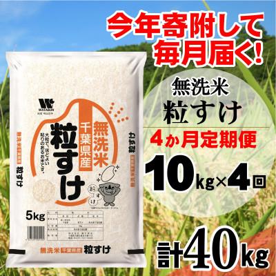 ふるさと納税 大網白里市 【毎月定期便】粒すけ 無洗米 10kg (5kg×2袋)全4回