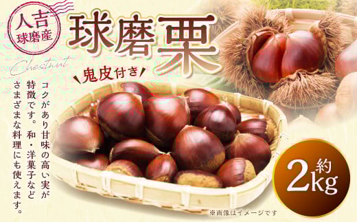 球磨栗（鬼皮付き） 2kg【2025年9月下旬～10月下旬発送予定】 栗 和栗 果物 フルーツ お菓子 おつまみ 秋 国産 熊本県 湯前町