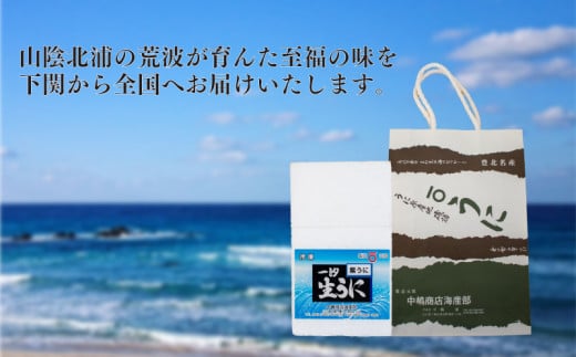 一汐 紫 生 うに ムラサキウニ 50g 冷凍 粒 瓶 ご飯のおとも 酒の肴 下関 山口