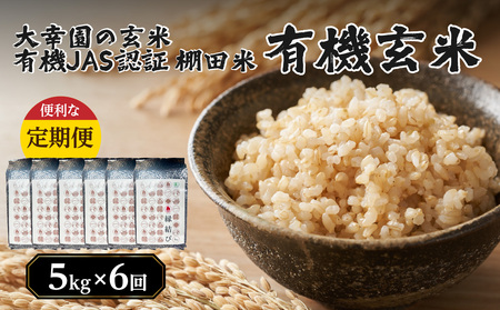 大幸園の玄米 6回定期便 有機JAS 認証 有機米 棚田米 5kg 米 国産 玄米 有機栽培 無農薬 甘い お米 九州産 オーガニック 福岡県 八女市 184-T004