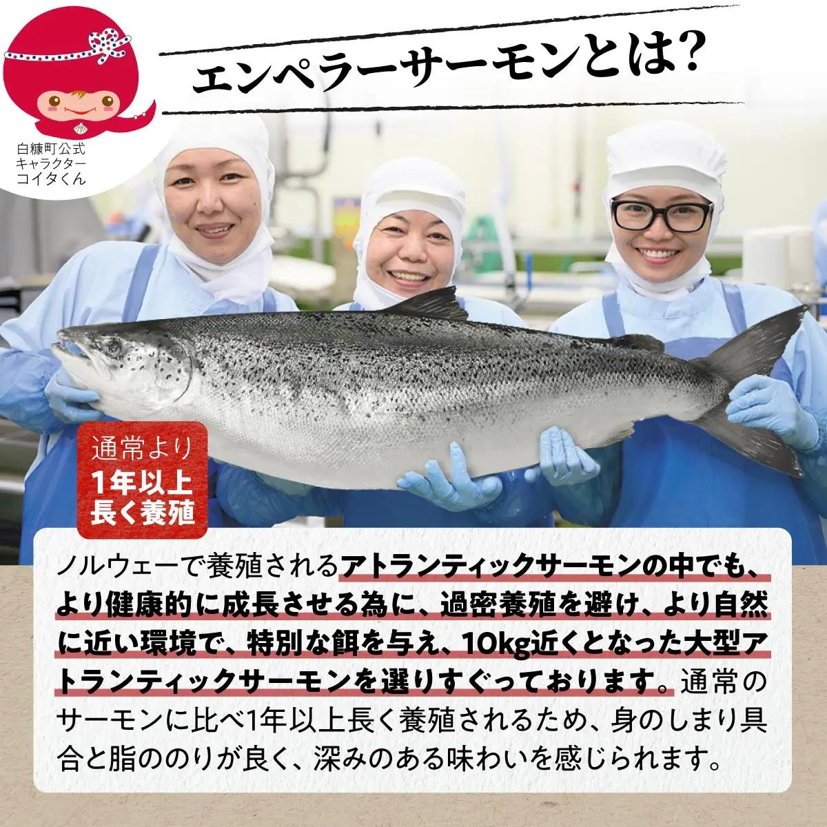 エンペラーサーモンの希少部位！ 1kg（約15枚入） 腹ビレ肉 通称「グリ」_T005-1182