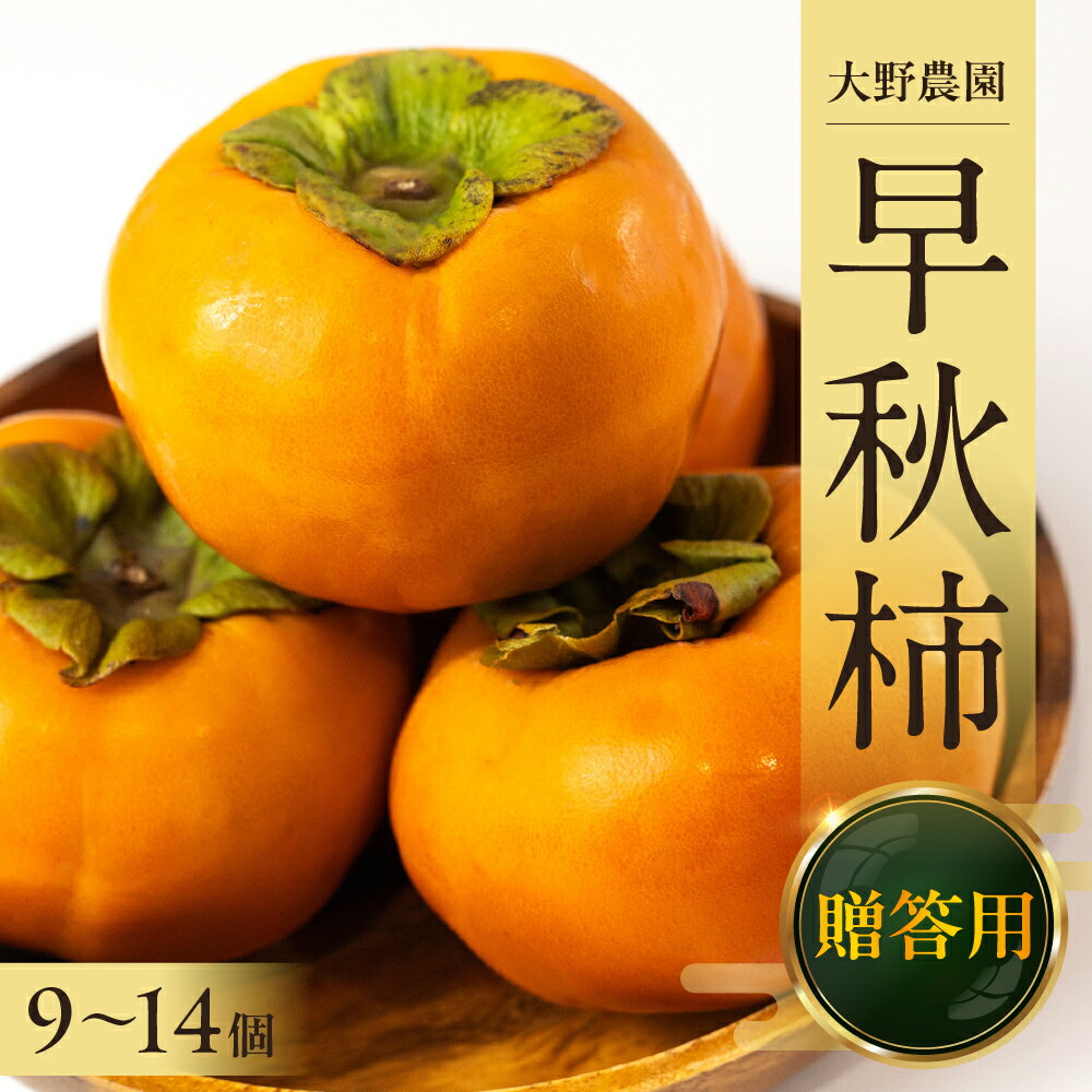 【ふるさと納税】【令和7年産】《早い甘柿》大野農園の早秋柿 (9〜14個入)10月上旬〜10月下旬発送予定[mt1557]｜早秋 フルーツ カキ 果物 くだもの 岐阜県 本巣市 15000円