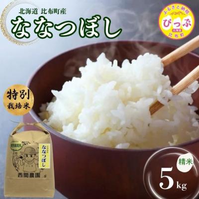 ふるさと納税 比布町 【令和8年産 新米先行受付】特別栽培米 ななつぼし 精米 5kg【西間農園】