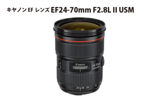 No.308 キヤノン EFレンズ EF24-70mm F2.8L II USM ／ Canon 高性能大口径標準ズームレンズ Ｌレンズ カメラ 埼玉県