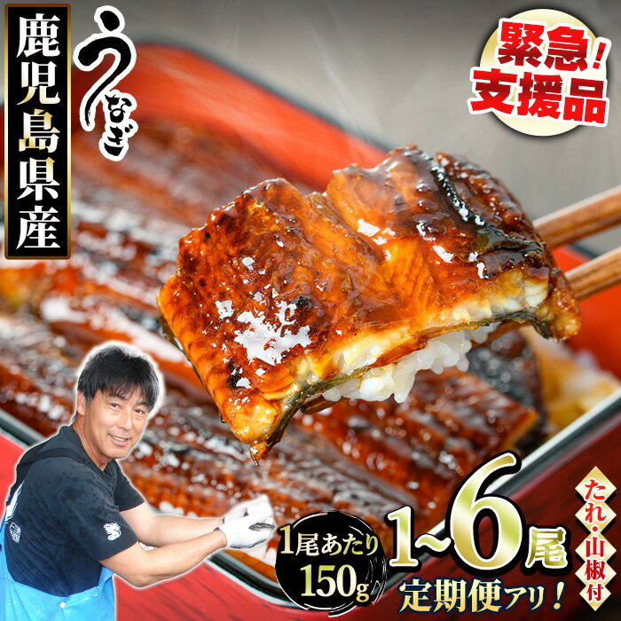 東串良町のうなぎ蒲焼(無頭) 2尾(320g以上・タレ、山椒付)