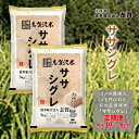 【ふるさと納税】【6ヶ月定期便】宮城県岩沼市産 ササシグレ 精米10kg(5kg×2）　定期便・岩沼市