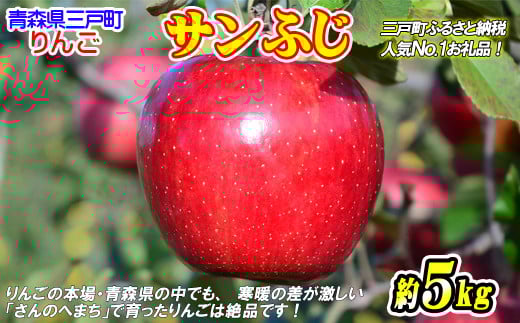 りんご【サンふじ】約5kg（12～20玉）【2025年産・先行予約】★2025年11月下旬頃より順次発送予定★ 青森県三戸町産