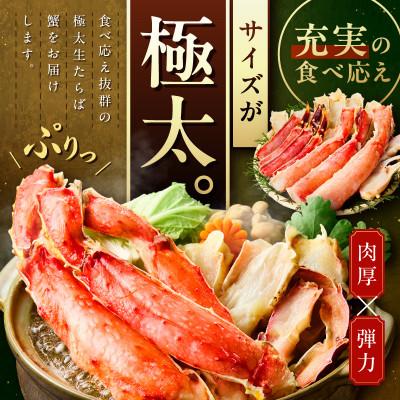 ふるさと納税 泉南市 ●★【生食ok!!極太サイズ】生たらば蟹 ハーフポーション 約1kg |  | 01