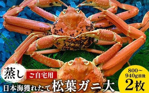115.【蒸し】訳あり ご自宅用 日本海獲れたて松葉ガニ 大 800～940g前後 ２枚 ※2025年11月上旬～2026年3月上旬頃に順次発送予定【家庭用 松葉ガニ 松葉蟹 蟹 かに 甲殻類 ズワイガニ 鳥取県 北栄町 おすすめ 人気 送料無料】