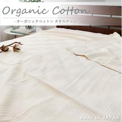 ふるさと納税 和泉市 【シングル】オーガニックコットンタオルケット(145×190cm)キナリ　5774-KI