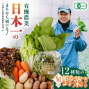 【ふるさと納税】有機野菜 オーガニック 12種 野菜セット 野菜 有機JAS認定 詰め合わせ オーガニック野菜 熊本県産 産地直送 熊本直送 【株式会社 肥後やまと】[YAF001]