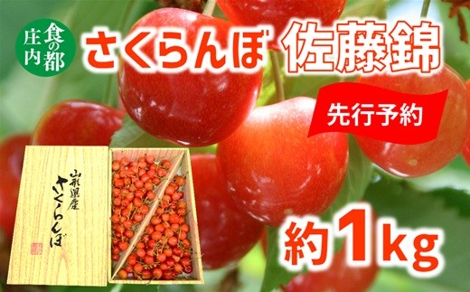 【2026年産 先行予約】食の都庄内 さくらんぼ佐藤錦 約1kg※2026年6月中旬頃より発送開始予定