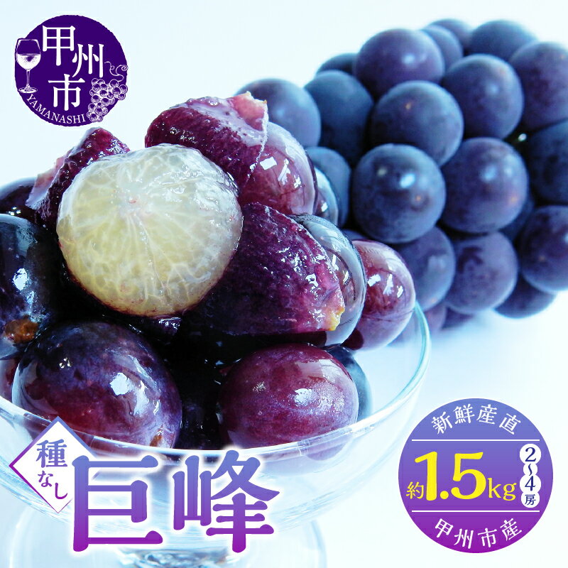 【ふるさと納税】 巨峰 2026年 先行予約 果物 約1.5kg 2房～4房 選べる 発送年 種なし フルーツ 黒ブドウ 葡萄 甲州市産 朝穫り 新鮮 ブドウ ぶどう くだもの 2025年 産地直送 期間限定 数量限定 8月 9月 10月 発送 贈答品 ギフト 山梨県 甲州市 （KSF） 【B12-461】