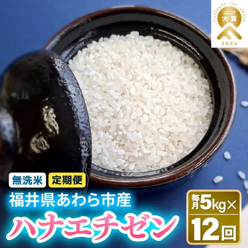 【先行予約】【令和8年産】定期便 ≪12ヶ月連続お届け≫ 華越前 無洗米 5kg×12回 （計60kg）/ 米 5キロ 60キロ ハナエチゼン はなえちぜん 北陸 福井県産 あわら市 ブランド米 白米 お米 コメ こめ むせんまい ※2026年10月上旬以降順次発送 [aw056-i001]