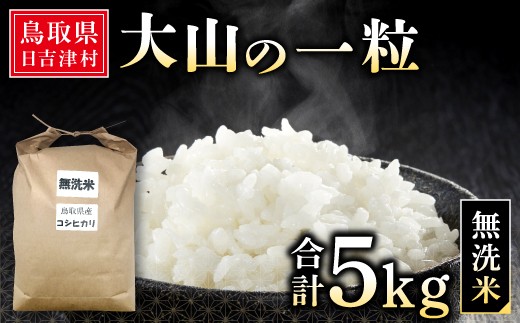 大山の一粒 無洗米 5kg【米 無洗米 5kg 5キロ こめ コメ むせんまい 先行予約 お米 白米 精米 こしひかり コシヒカリ 簡単 ごはん ライス kome 国産 お取り寄せ 鳥取県 大山町】