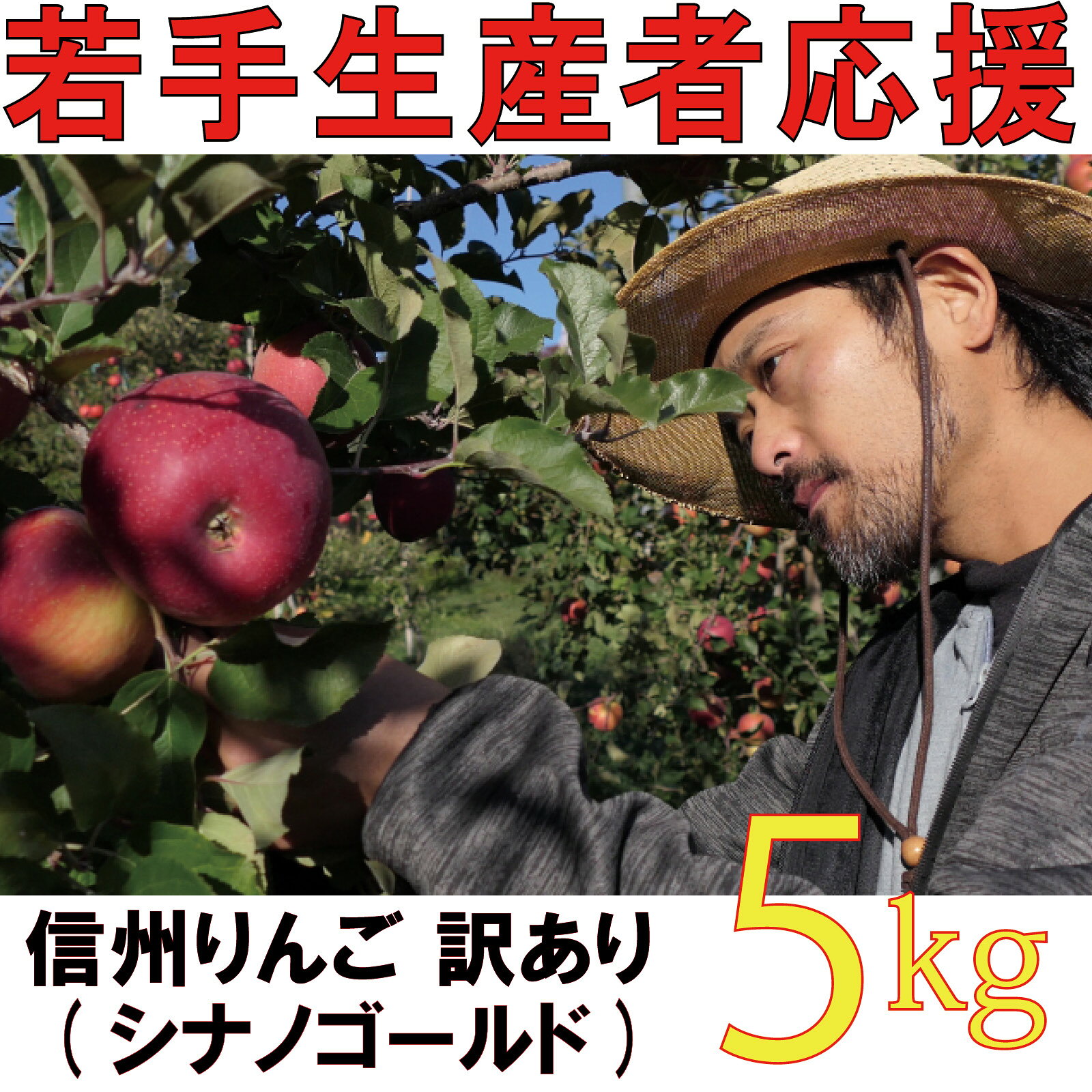 【ふるさと納税】【2026年 先行予約 令和8年産】 訳あり りんご 5kg 【若手生産者応援】 シナノゴールド 伊藤 快 果物 フルーツ 先行 予約 信州 麻績村 不揃い 規格外 家庭用