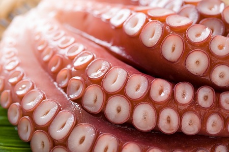 北海道留萌産 冷凍煮たこ足 1kg～1.2kg　