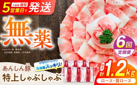 【6回定期便】岐阜県産 無薬育ちのあんしん豚 豚肉 しゃぶしゃぶ用 計 7.2kg 豚 ロース 肩ロース しゃぶしゃぶ セット 冷凍 小分け 岐阜県 白川町 / 藤井ファーム [AWAF011]