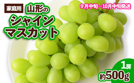 【ご家庭用】山形のシャインマスカット 優品 1房 約500g[9月中旬～10月中旬お届け] 【令和7年産先行予約】FS23-648 くだもの 果物 フルーツ 山形 山形県 山形市 ぶどう 葡萄 ブドウ 2025年産