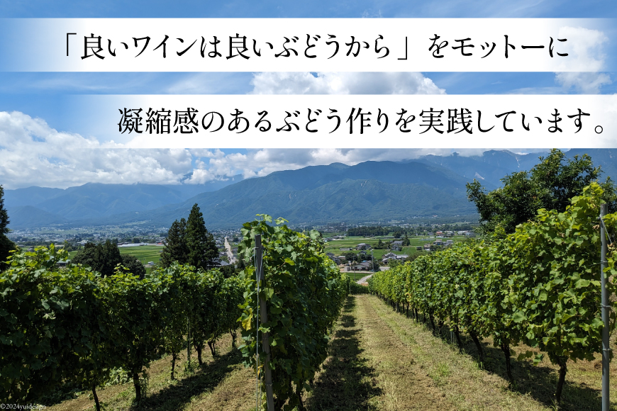 定期便 白 赤 ワイン 飲み比べ セット 各回 750ml × 2本 全3回 計 6本 [Poggio Verde（ポッジョ ヴェルデ） 長野県 池田町 48110709] わいん ワインセット 赤白