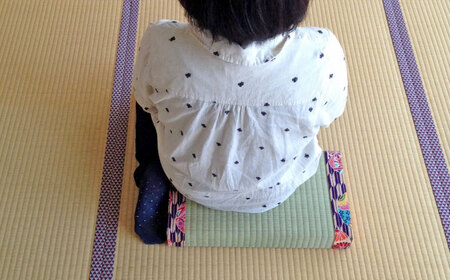 一畳屋 あぐら畳 座卓 枕 1枚　【一般社団法人クラッシーノこうし】[AYAB111]