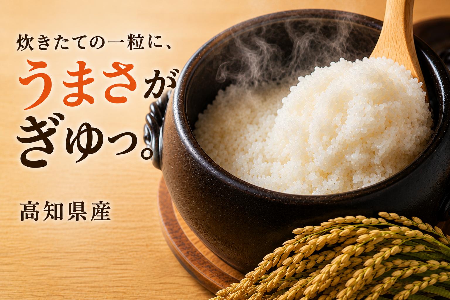 【新米 令和8年度 高知県産 コシヒカリ2㎏】 人気 米 お米 2kg 2キロ 令和8年度産  2026年産 コシヒカリ こしひかり お米 白米 精米 国産米 産地直送 高知県 室戸市