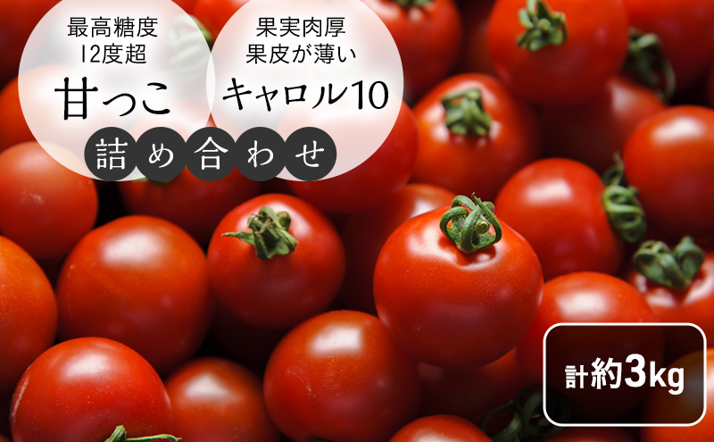 北海道 富良野市産 完熟ミニトマト 2種 計約3kg 甘っこ キャロル10 各1.5kg×2 詰め合わせ トマト 甘い 野菜 新鮮 数量限定 先着順【藏ファーム】