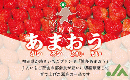 博多あまおう4パック（春） 250g～270g×4パック 合計約1000g～1080g あまおう いちご 苺 イチゴ フルーツ 果物 くだもの【2026年2月上旬-4月下旬発送予定】