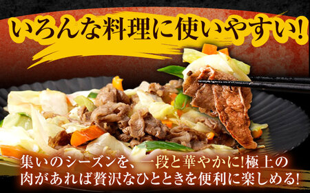 【12回定期便】長崎和牛 切り落とし 1.2kg（400g×3）肩ロース・モモ・カタ・バラ使用 / 牛肉 ぎゅうにく 肉 和牛 国産牛 切落し&nbsp;/ 諫早市 / 西日本フード株式会社長崎和牛[