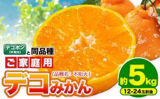 不知火 デコみかん ( デコポン と同品種 ) ご家庭用 訳あり 熊本県産 ( 苓北町産含む )約5kg (12-24玉前後) 柑橘 《2026年2月上旬-3月末頃出荷》 みかん フルーツ 不知火 訳アリ でこみかん 果物