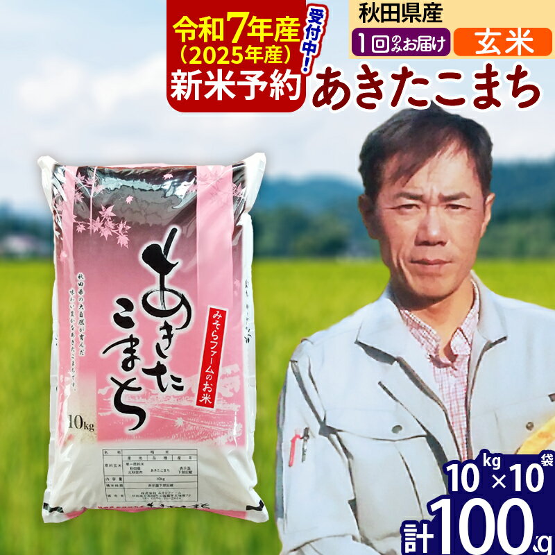 【ふるさと納税】※令和7年産 新米予約※秋田県産 あきたこまち 100kg【玄米】(10kg袋)【1回のみお届け】2025年産 お米 みそらファーム