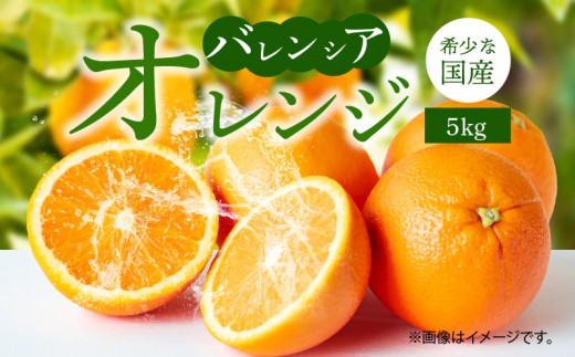 
                   希少 国産 秀品 バレンシアオレンジ 5kg 果汁 豊富 糖度 高い 甘い 爽快感 香り 酸味 味わい スッキリ 栄養補給 柑橘 オレンジ 果物 フルーツ 果実 食品 食べ物 おやつ デザート お取り寄せ お取り寄せフルーツ 和歌山県 湯浅町 送料無料_G7079
                