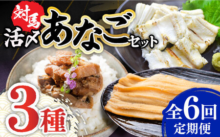 【全6回定期便】対馬 産 活〆 あなご セット [WAC019] 煮あなご 佃煮 アナゴ