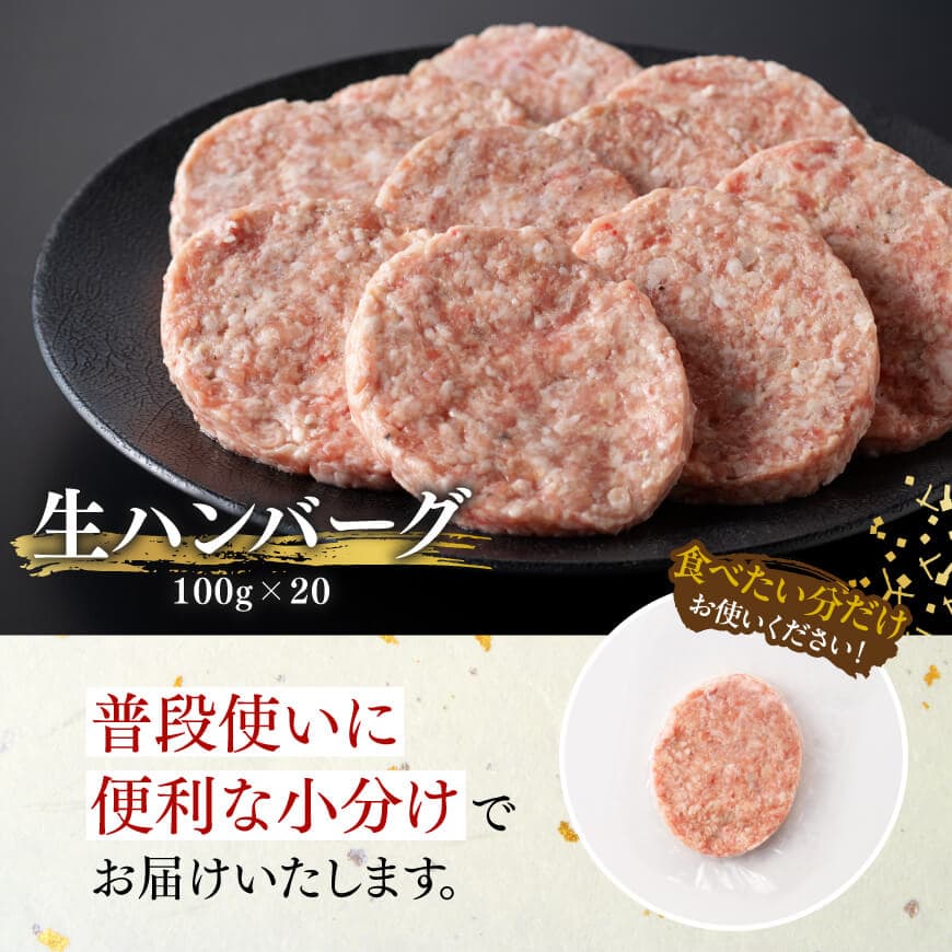 宮崎県産豚肉 「まるみ豚」 生ハンバーグセット計2kg（100g×20個） 【 肉 豚肉 国産 ハンバ―グ 弁当 おかず お手軽 真空パック 九州産 宮崎県産 川南町産 送料無料 】