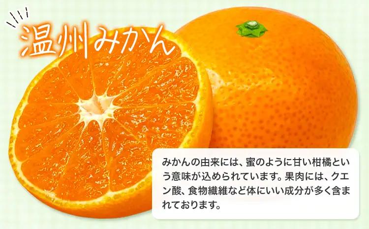 みかん 農園直送 有田の旬の食べごろ みかん 約5kg
