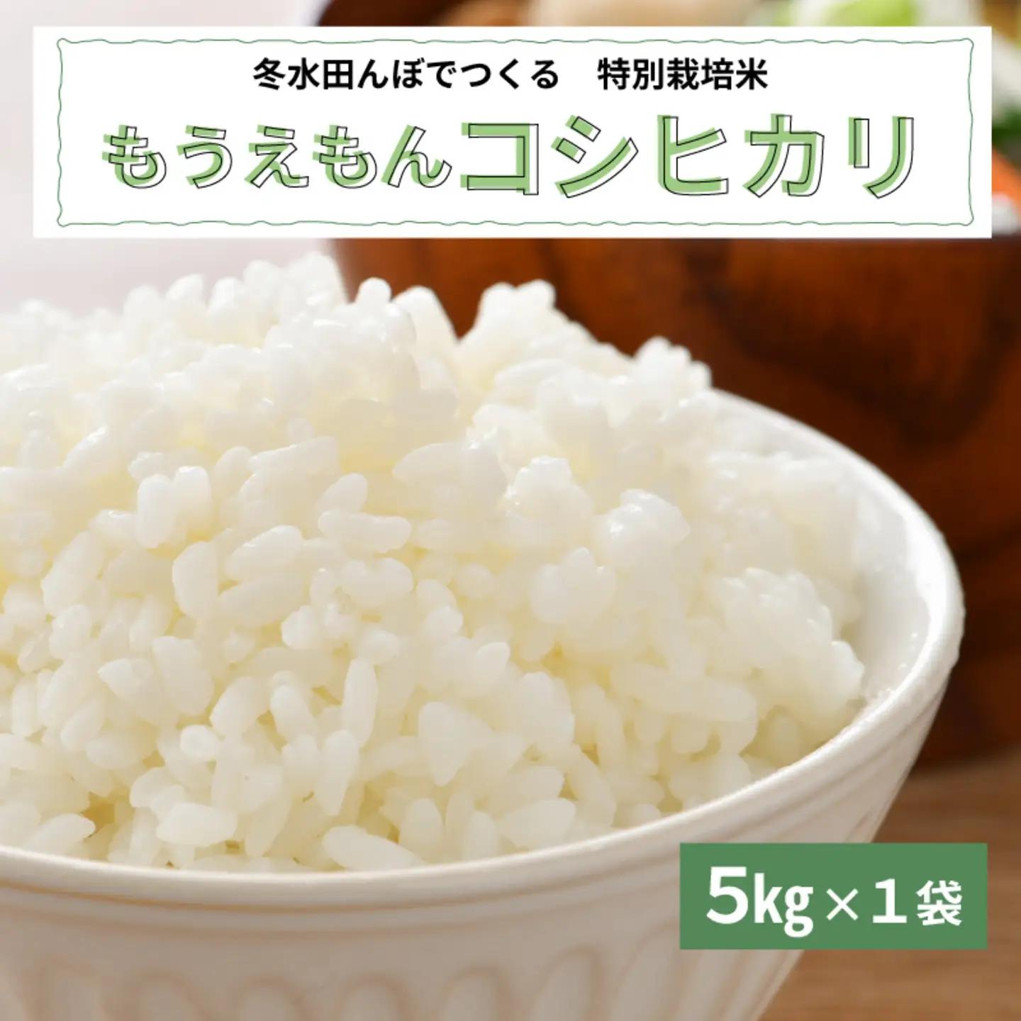 【令和7年産】冬水田んぼでつくる 特別栽培米 もうえもん コシヒカリ（5kg × 1袋）真空パックこしひかり コシヒカリ