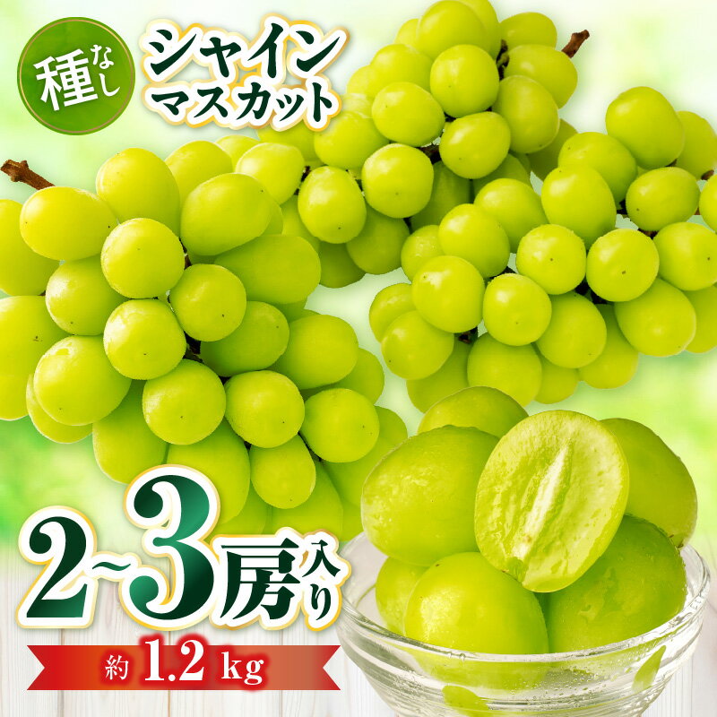【ふるさと納税】シャインマスカット　2～3房入り（約1.2kg）果物 フルーツ デザート スイーツ マスカット 種無し 種無しマスカット 贈答 贈り物 ギフト プレゼント お祝い 内祝い お中元 グルメ おすすめ 人気 ぶどう ご褒美 シャイン 旬 特産品 香川県 三木町 送料無料