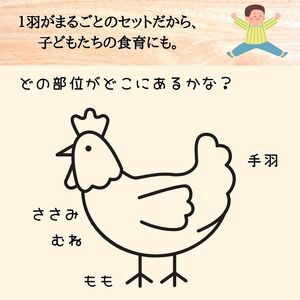 鶏肉 地鶏 丹波黒どり 1羽まるごと 訳あり鶏肉