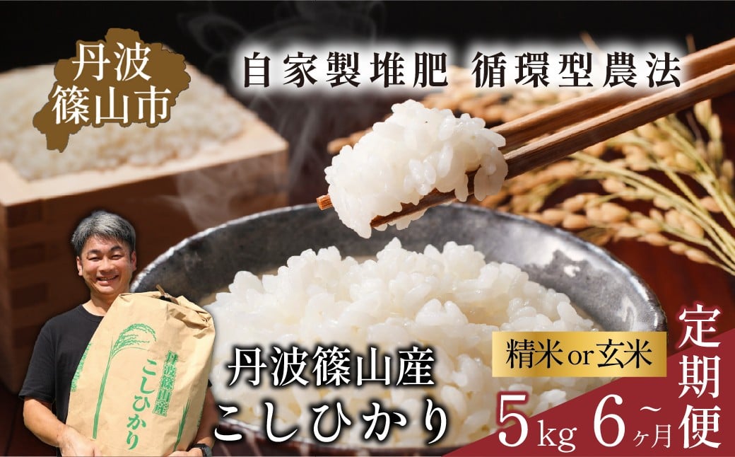
                  【定期便】令和7年産 丹波篠山産コシヒカリ  【 玄米 or 精米 】 〈 5kg or 10kg 6回 or 12回 〉 計 30kg ~120kg　お米定期便 玄米 コメ こめ 米 こしひかり コシヒカリ 丹波篠山産
                