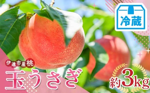 
                  【2026年出荷分先行予約】<冷蔵配送>福島県産 玉うさぎ 約3kg (6～12玉) サトー農園 新品種 たまうさぎ 固め 伊達の桃 桃 フルーツ 果物 もも モモ momo F21C-251
                