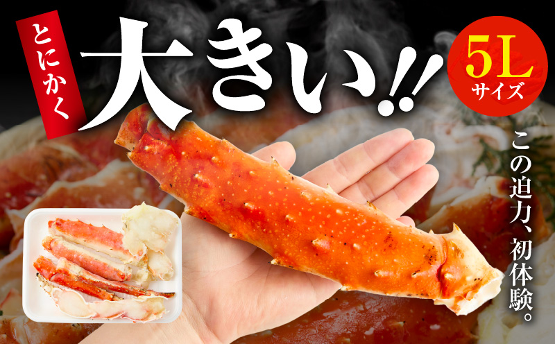 【年内発送】ボイルタラバガニ 1kg 特大 5Lサイズ カット済み【ボイル カニ かに 1kg 訳あり 部位 サイズ不揃い 蟹 たらば蟹 タラバ蟹 タラバカニ 海鮮 魚介 圧倒的企業努力】 G1783-1y