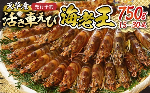 
                  【鮮度抜群】《美味しさの極み》天草産・幸福堂の活き車えび『海老王』（750g）_S005-007-sku
                