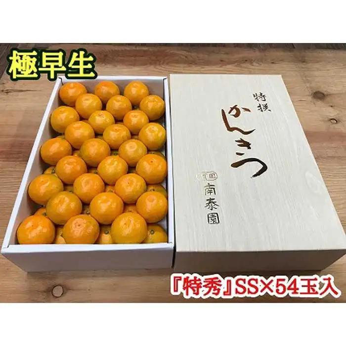 極早生 有田 みかん 化粧箱 特秀 小玉 SS サイズ 54玉入 南泰園 和歌山 有田みかん