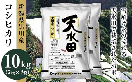 27-101D新潟県黒川産コシヒカリ10kg（5kg×2袋）【天水田】